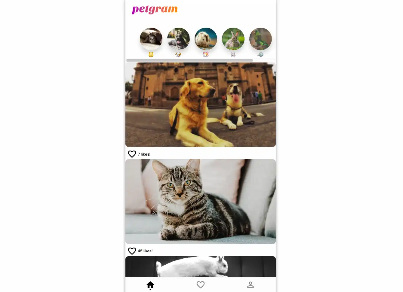 PetGram